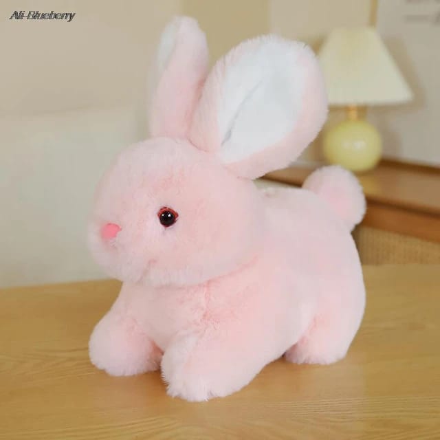 Rabbit