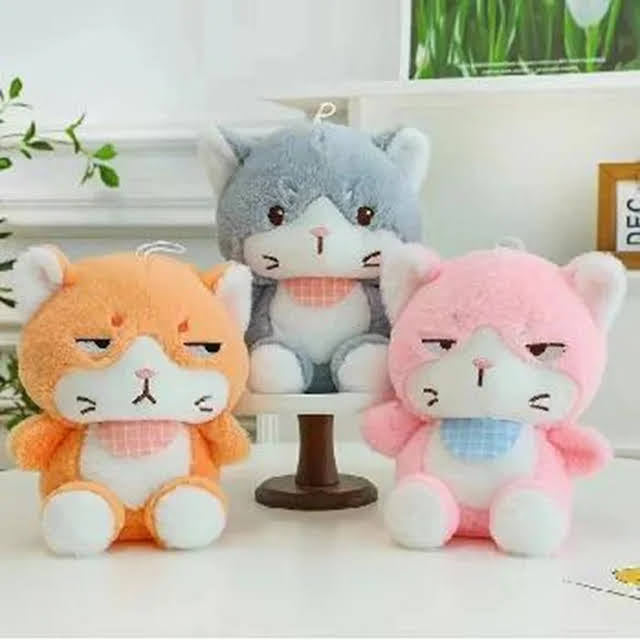 Angry Cat