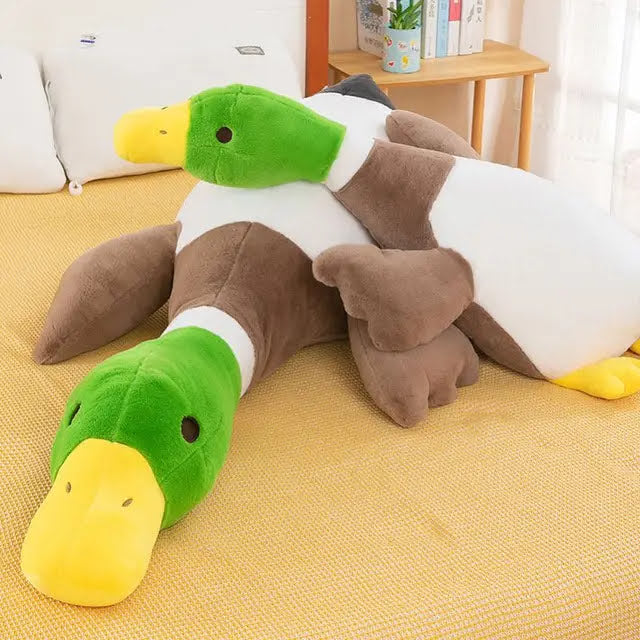 Duck