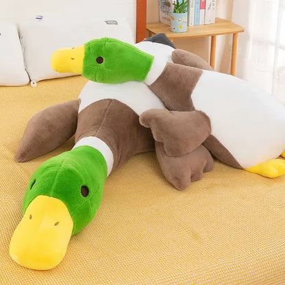 Duck