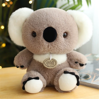 Koala