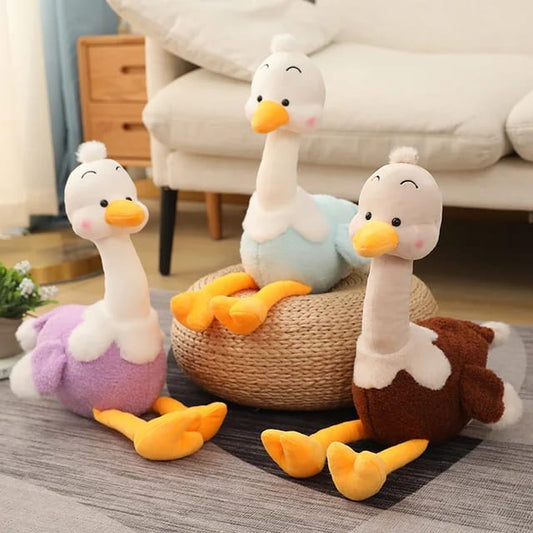 Duck