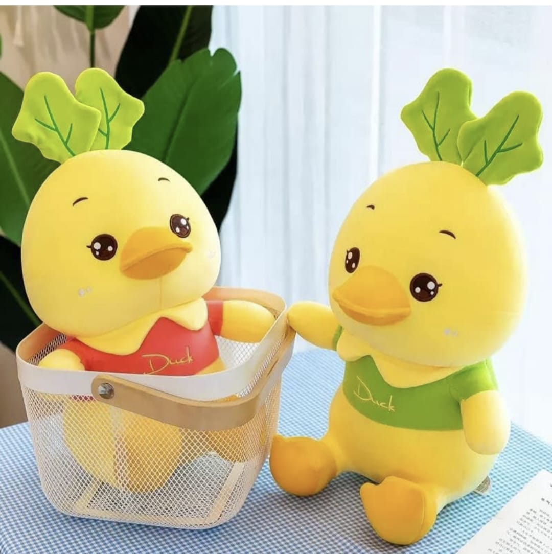 Duck