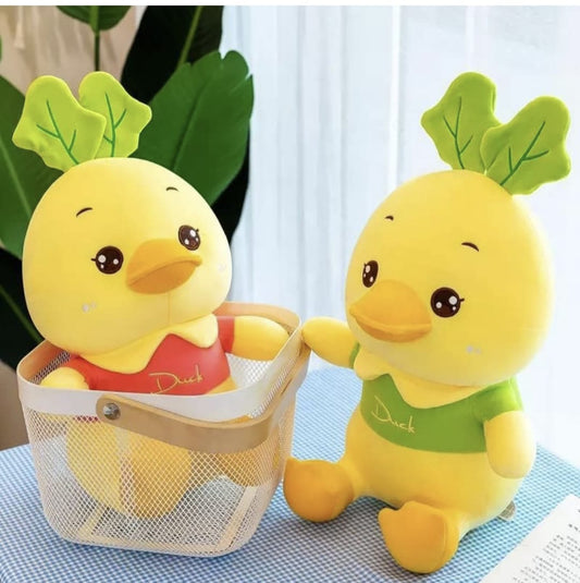 Duck