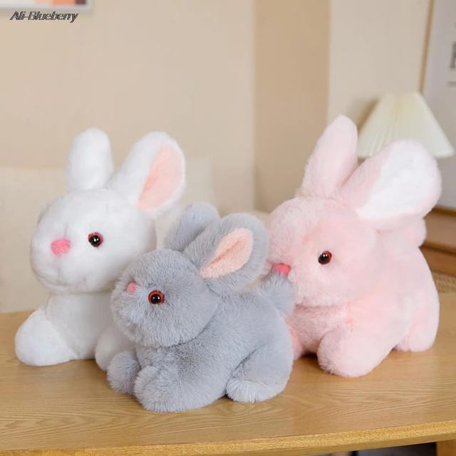 Rabbit