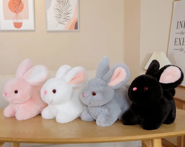 Rabbit