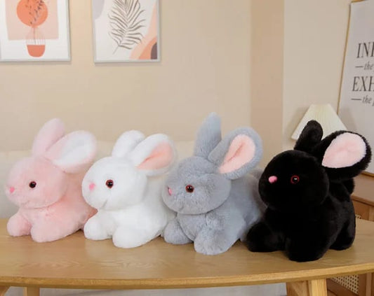 Rabbit